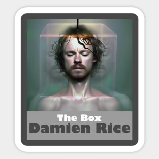 Damien Rice The Box Sticker